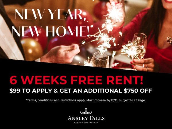 Special Deal | Ansley Falls Apartments